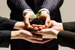 Partnerships drive innovation